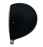 Chicago Golf 420cc Titanium Driver Head