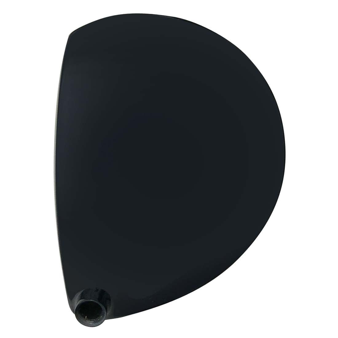 Integra IV 320cc Titanium Driver Head