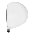 Custom-Built Integra Sooolong 168 Beta Titanium Driver
