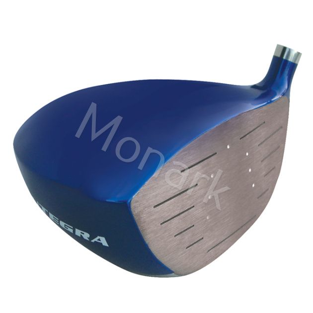 Integra Sooolong 450 Titanium Driver Head